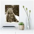 Picture of Snowy Bear _GroupedProduct_Rectangle_Portrait_Photography _GroupedProduct_Rectangle_Portrait_Unframed_Print_Only_