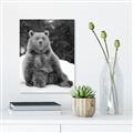 Picture of Snowy Bear _GroupedProduct_Rectangle_Portrait_Photography _GroupedProduct_Rectangle_Portrait_Unframed_Print_Only_