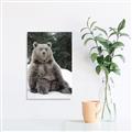 Picture of Snowy Bear _GroupedProduct_Rectangle_Portrait_Photography _GroupedProduct_Rectangle_Portrait_Unframed_Print_Only_
