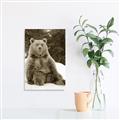 Picture of Snowy Bear _GroupedProduct_Rectangle_Portrait_Photography _GroupedProduct_Rectangle_Portrait_Unframed_Print_Only_