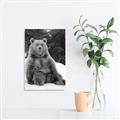 Picture of Snowy Bear _GroupedProduct_Rectangle_Portrait_Photography _GroupedProduct_Rectangle_Portrait_Unframed_Print_Only_