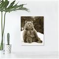 Picture of Snowy Bear _GroupedProduct_Rectangle_Portrait_Photography _GroupedProduct_Rectangle_Portrait_Unframed_Print_Only_