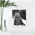 Picture of Snowy Bear _GroupedProduct_Rectangle_Portrait_Photography _GroupedProduct_Rectangle_Portrait_Unframed_Print_Only_