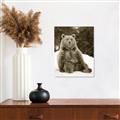 Picture of Snowy Bear _GroupedProduct_Rectangle_Portrait_Photography _GroupedProduct_Rectangle_Portrait_Unframed_Print_Only_