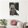Picture of Snowy Bear _GroupedProduct_Rectangle_Portrait_Photography _GroupedProduct_Rectangle_Portrait_Unframed_Print_Only_