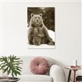 Picture of Snowy Bear _GroupedProduct_Rectangle_Portrait_Photography _GroupedProduct_Rectangle_Portrait_Unframed_Print_Only_