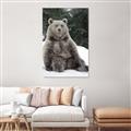 Picture of Snowy Bear _GroupedProduct_Rectangle_Portrait_Photography _GroupedProduct_Rectangle_Portrait_Unframed_Print_Only_