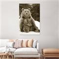 Picture of Snowy Bear _GroupedProduct_Rectangle_Portrait_Photography _GroupedProduct_Rectangle_Portrait_Unframed_Print_Only_