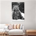Picture of Snowy Bear _GroupedProduct_Rectangle_Portrait_Photography _GroupedProduct_Rectangle_Portrait_Unframed_Print_Only_