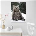 Picture of Snowy Bear _GroupedProduct_Rectangle_Portrait_Photography _GroupedProduct_Rectangle_Portrait_Unframed_Print_Only_