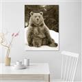 Picture of Snowy Bear _GroupedProduct_Rectangle_Portrait_Photography _GroupedProduct_Rectangle_Portrait_Unframed_Print_Only_