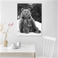 Picture of Snowy Bear _GroupedProduct_Rectangle_Portrait_Photography _GroupedProduct_Rectangle_Portrait_Unframed_Print_Only_