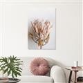 Picture of Soft Pink _GroupedProduct_Rectangle_Portrait_Photography _GroupedProduct_Rectangle_Portrait_Unframed_Print_Only_