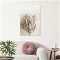 Picture of Soft Pink _GroupedProduct_Rectangle_Portrait_Photography _GroupedProduct_Rectangle_Portrait_Unframed_Print_Only_