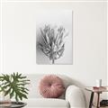 Picture of Soft Pink _GroupedProduct_Rectangle_Portrait_Photography _GroupedProduct_Rectangle_Portrait_Unframed_Print_Only_