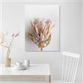 Picture of Soft Pink _GroupedProduct_Rectangle_Portrait_Photography _GroupedProduct_Rectangle_Portrait_Unframed_Print_Only_