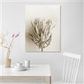 Picture of Soft Pink _GroupedProduct_Rectangle_Portrait_Photography _GroupedProduct_Rectangle_Portrait_Unframed_Print_Only_