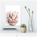 Picture of Soft Protea _GroupedProduct_Rectangle_Portrait_Photography _GroupedProduct_Rectangle_Portrait_Unframed_Print_Only_