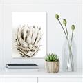Picture of Soft Protea _GroupedProduct_Rectangle_Portrait_Photography _GroupedProduct_Rectangle_Portrait_Unframed_Print_Only_