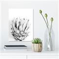 Picture of Soft Protea _GroupedProduct_Rectangle_Portrait_Photography _GroupedProduct_Rectangle_Portrait_Unframed_Print_Only_