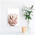 Picture of Soft Protea _GroupedProduct_Rectangle_Portrait_Photography _GroupedProduct_Rectangle_Portrait_Unframed_Print_Only_
