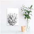 Picture of Soft Protea _GroupedProduct_Rectangle_Portrait_Photography _GroupedProduct_Rectangle_Portrait_Unframed_Print_Only_