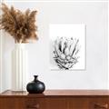 Picture of Soft Protea _GroupedProduct_Rectangle_Portrait_Photography _GroupedProduct_Rectangle_Portrait_Unframed_Print_Only_