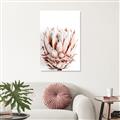 Picture of Soft Protea _GroupedProduct_Rectangle_Portrait_Photography _GroupedProduct_Rectangle_Portrait_Unframed_Print_Only_