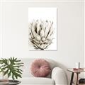 Picture of Soft Protea _GroupedProduct_Rectangle_Portrait_Photography _GroupedProduct_Rectangle_Portrait_Unframed_Print_Only_