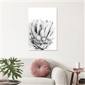 Picture of Soft Protea _GroupedProduct_Rectangle_Portrait_Photography _GroupedProduct_Rectangle_Portrait_Unframed_Print_Only_