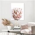 Picture of Soft Protea _GroupedProduct_Rectangle_Portrait_Photography _GroupedProduct_Rectangle_Portrait_Unframed_Print_Only_