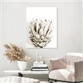 Picture of Soft Protea _GroupedProduct_Rectangle_Portrait_Photography _GroupedProduct_Rectangle_Portrait_Unframed_Print_Only_