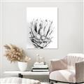 Picture of Soft Protea _GroupedProduct_Rectangle_Portrait_Photography _GroupedProduct_Rectangle_Portrait_Unframed_Print_Only_