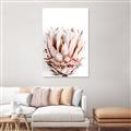 Picture of Soft Protea _GroupedProduct_Rectangle_Portrait_Photography _GroupedProduct_Rectangle_Portrait_Unframed_Print_Only_