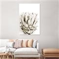Picture of Soft Protea _GroupedProduct_Rectangle_Portrait_Photography _GroupedProduct_Rectangle_Portrait_Unframed_Print_Only_