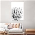 Picture of Soft Protea _GroupedProduct_Rectangle_Portrait_Photography _GroupedProduct_Rectangle_Portrait_Unframed_Print_Only_