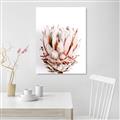Picture of Soft Protea _GroupedProduct_Rectangle_Portrait_Photography _GroupedProduct_Rectangle_Portrait_Unframed_Print_Only_