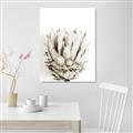 Picture of Soft Protea _GroupedProduct_Rectangle_Portrait_Photography _GroupedProduct_Rectangle_Portrait_Unframed_Print_Only_