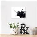 Picture of Spotted Bull  _GroupedProduct_Rectangle_Landscape_Photography _GroupedProduct_Rectangle_Landscape_Unframed_Print_Only_