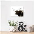 Picture of Spotted Bull  _GroupedProduct_Rectangle_Landscape_Photography _GroupedProduct_Rectangle_Landscape_Unframed_Print_Only_