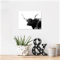 Picture of Spotted Bull  _GroupedProduct_Rectangle_Landscape_Photography _GroupedProduct_Rectangle_Landscape_Unframed_Print_Only_