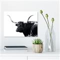 Picture of Spotted Bull  _GroupedProduct_Rectangle_Landscape_Photography _GroupedProduct_Rectangle_Landscape_Unframed_Print_Only_