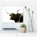 Picture of Spotted Bull  _GroupedProduct_Rectangle_Landscape_Photography _GroupedProduct_Rectangle_Landscape_Unframed_Print_Only_