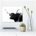 Picture of Spotted Bull  _GroupedProduct_Rectangle_Landscape_Photography _GroupedProduct_Rectangle_Landscape_Unframed_Print_Only_