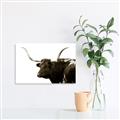 Picture of Spotted Bull  _GroupedProduct_Rectangle_Landscape_Photography _GroupedProduct_Rectangle_Landscape_Unframed_Print_Only_