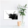 Picture of Spotted Bull  _GroupedProduct_Rectangle_Landscape_Photography _GroupedProduct_Rectangle_Landscape_Unframed_Print_Only_