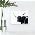 Picture of Spotted Bull  _GroupedProduct_Rectangle_Landscape_Photography _GroupedProduct_Rectangle_Landscape_Unframed_Print_Only_