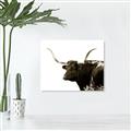 Picture of Spotted Bull  _GroupedProduct_Rectangle_Landscape_Photography _GroupedProduct_Rectangle_Landscape_Unframed_Print_Only_