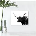 Picture of Spotted Bull  _GroupedProduct_Rectangle_Landscape_Photography _GroupedProduct_Rectangle_Landscape_Unframed_Print_Only_