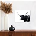Picture of Spotted Bull  _GroupedProduct_Rectangle_Landscape_Photography _GroupedProduct_Rectangle_Landscape_Unframed_Print_Only_